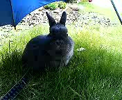(untitled)